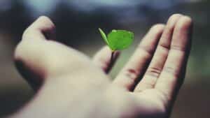 hand holding a small plant (growth marketing)