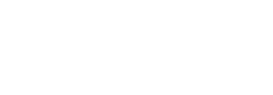 Asset